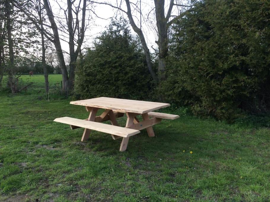 Tanja's * Kootstertille